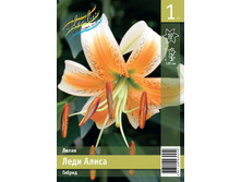 72,4 ���. ����� ���� ����� ����� (� �������� 1 ��.) �������� 4 ��..jpeg