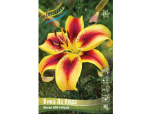 119,7 ���. ����� ���� �� ���� ����� (� �������� 2 ��.) ������� �������� 4 ��..jpeg