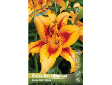 119,7 ���. ����� ����� ���������� ����� (� �������� 2 ��.) ������� �������� 3 ��..jpeg