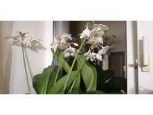 IMG 20220724 002637.jpg