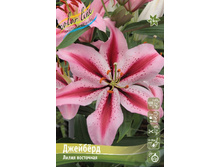 106 ���. ����� ������� ����� (� �������� 2 ��.) ������� �������� 3 ��..jpeg