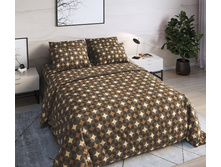 ���� ���-����.jpg