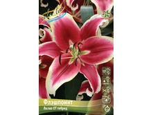 93 ���. ����� ��������� ����� (� �������� 2 ��.) ������� �������� 4 ��..jpeg