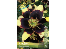 119,7 ���. ����� ��� ���� ����� (� �������� 2 ��.) �������� 2 ��..jpeg