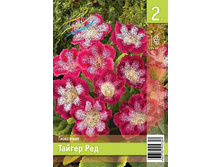 98,1 ���. ��������� ������ ��� ����� (� �������� 1 ��.) �������� 3 ��..jpeg