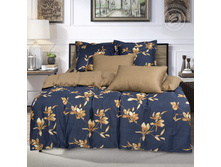 ����� ����� 220 �� ������+���������