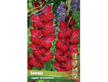 70,8 ���. ��������� ������� ����� (� �������� 5 ��.) 2022 �������� 3 ��..jpeg