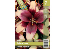 79,6 ���. ����� ����� ���� ����� (� �������� 2 ��.) �������� 4 ��..jpeg