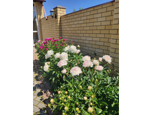 IMG 20220623 100000.jpg