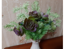 ��������� + �������� ����+ �����