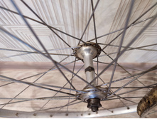 62418ea70cdf1 1648463051333.jpg