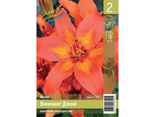 72,2 ���. ����� ������� ���� ����� (� �������� 2 ��.) �������� 3 ��..jpeg