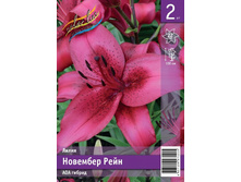 119,7 ���. ����� �������� ���� ����� (� �������� 2 ��.) �������� 4 ��..jpeg