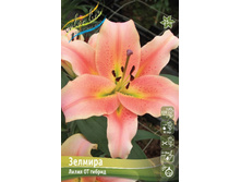 97,1 ���. ����� ������� ����� (� �������� 2 ��.) ������� �������� 3 ��..jpeg