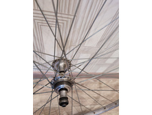 62418ea10029a 1648462786356.jpg