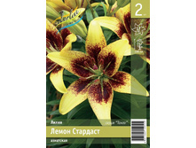 105,6 ���. ����� ����� �������� ����� (� �������� 2 ��.) �������� 4 ��..jpeg