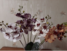 �10673 �/� ������� 3D���.������� ����� ��� 2�.�56��