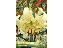 125,6 ���. ����� ���� ��������� ����� (� �������� 2 ��.) �������� 2 ��..jpeg