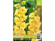 68,9 ���. ��������� ���� ���� ����� (� �������� 5 ��.) �������� 3 ��..jpeg