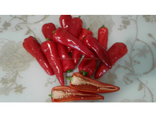 ���� (�������� ��������)