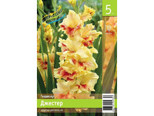 68,9 ���. ��������� ������� ����� (� �������� 5 ��.) �������� 4 ��..jpeg