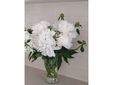 IMG 20220621 063843.jpg