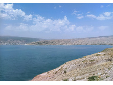 IMG 20220819 094330.jpg