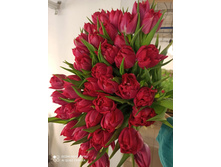 0-02-05-8bf1d8285e5346b92a1d77ce468f271d621bc94dac56e0139f59ba5950ecf3cd 78ed5fb0e699b0b5.jpg