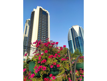 IMG 20220818 174115.jpg