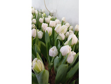 0-02-05-eec58ff3e584d08d4d7e94ca70b4a771b42fc4a68e1c46b732d5bbe708fd92d8 d7aa103e89ab7c0.jpg