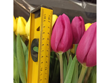 IMG 20210226 231402 192.jpg