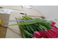 0-02-05-d19eed6cefaa89c32b9d38726ab0bb86ad538c3e758903f92aa712911cf506d9 f7cb06f79d105870.jpg