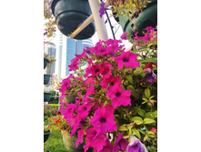 IMG 20220818 181520.jpg