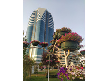 IMG 20220818 181343.jpg