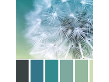 ��������� � ����������.jpg