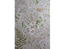 ������� ����