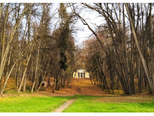 IMG 20221026 124937.jpg