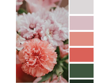 ���������� � ������-������ �������.jpg