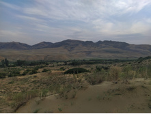 IMG 20220819 174323.jpg