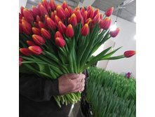 IMG 20210221 194631 012.jpg