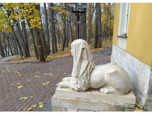 IMG 20221026 133055.jpg