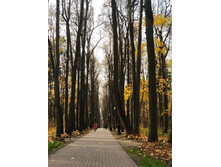 IMG 20221026 123116.jpg