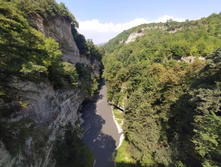 IMG 20220818 133046.jpg