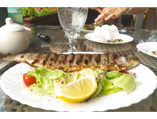 IMG 20220819 144635.jpg