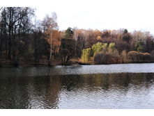 IMG 20221026 131927.jpg