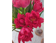 0-02-05-8fcb47030ef56d5df9ff83b0a9e26907c324713d8ca9f0216976cb12de6c14d0 85fdb3a73e5804c3.jpg