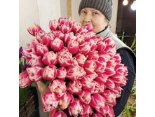 0-02-05-d4d71cf6c5c21cad188f57c4a7d7d29bb0c8eab97f78d887388c18f41d1a0278 8ad3ad031c73ff3e.jpg