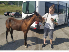 IMG 20220818 142719.jpg