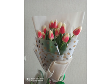 IMG 20210308 133413.jpg