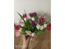 0-02-0a-5faeaf427895af158b8490efcd724f63b9b0336d90309f2bb5dbd3c940a855fe 828dfc0f908c3732.jpg